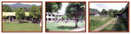 Pls. click me to enlarge